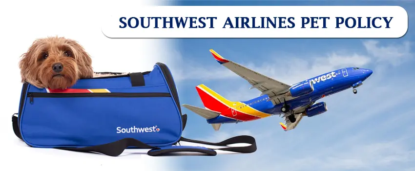 Southwest Airlines Pet Policy